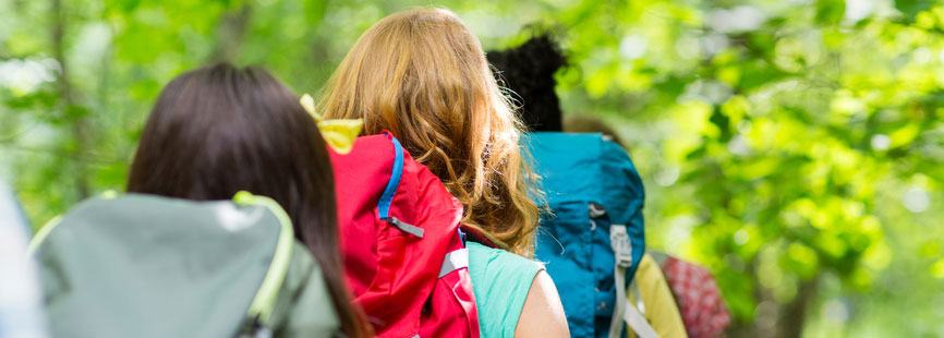 Easydus maakt het organiseren van een excursie gemakkelijk